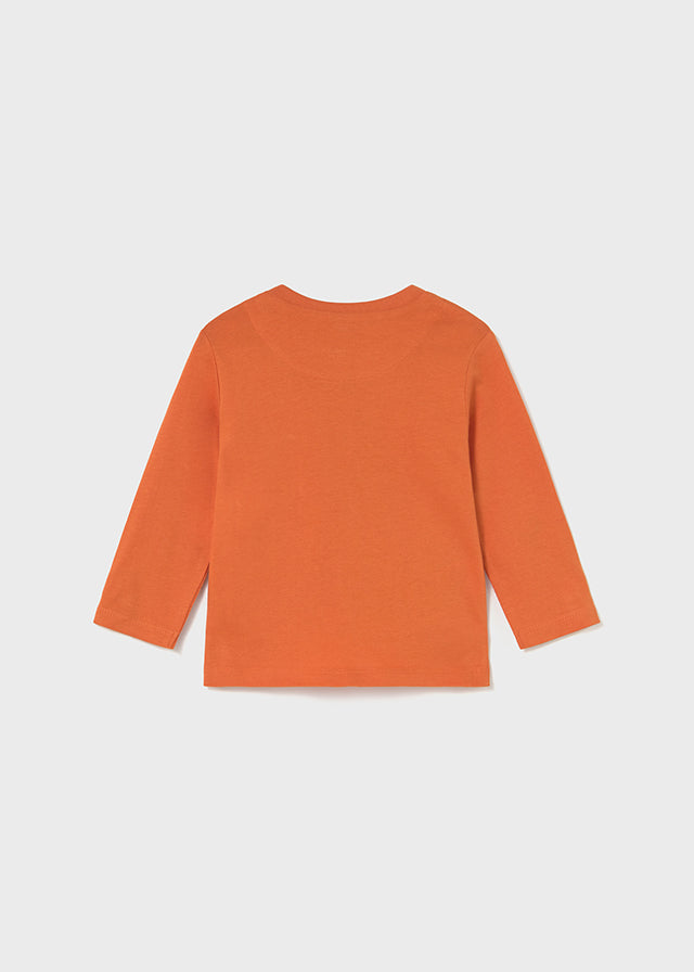 Camiseta ML lenticular