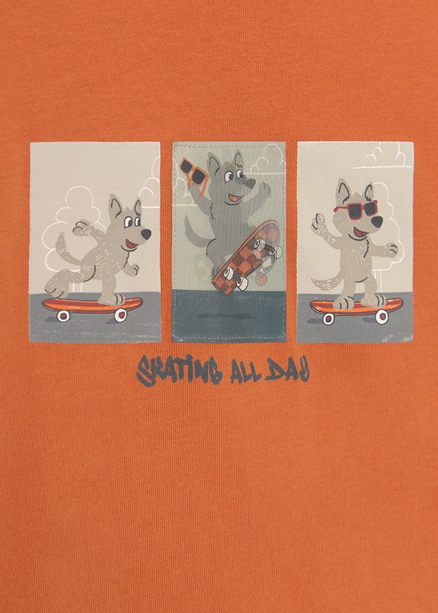 Camiseta ML lenticular