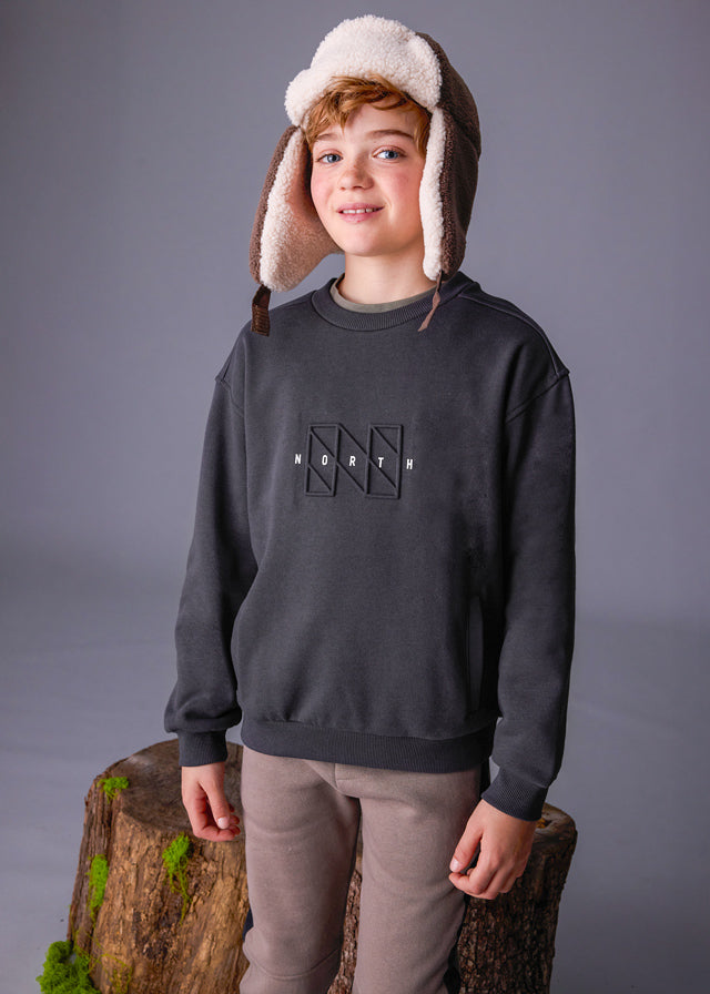 Sudadera sin capucha chico