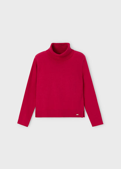 Jersey cisne básico niña