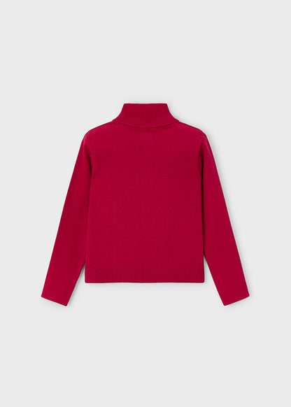 Jersey cisne básico niña