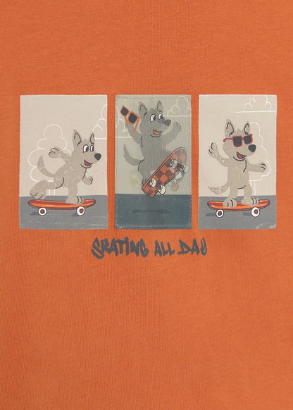 Camiseta ML lenticular