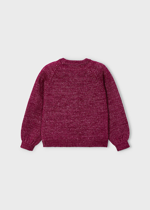 Jersey flores aplique niña