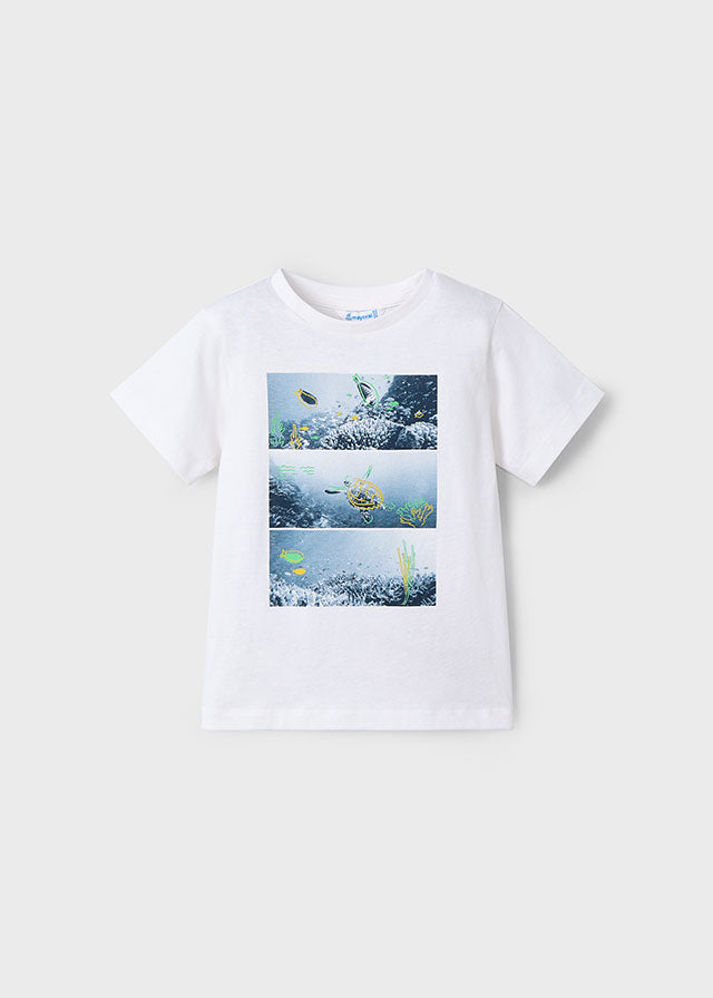 Conjunto punto 2 camisetas niño
