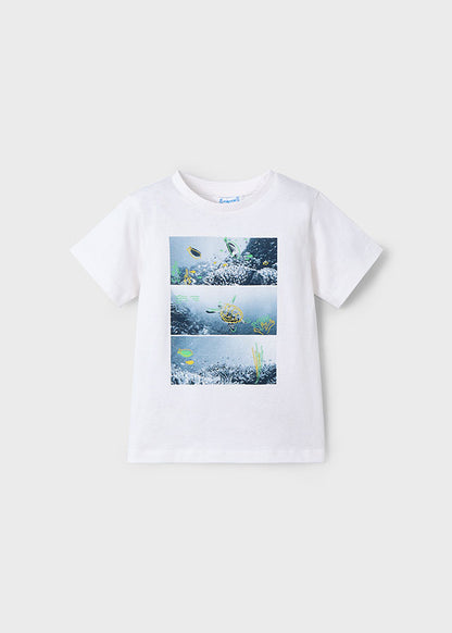 Conjunto punto 2 camisetas niño