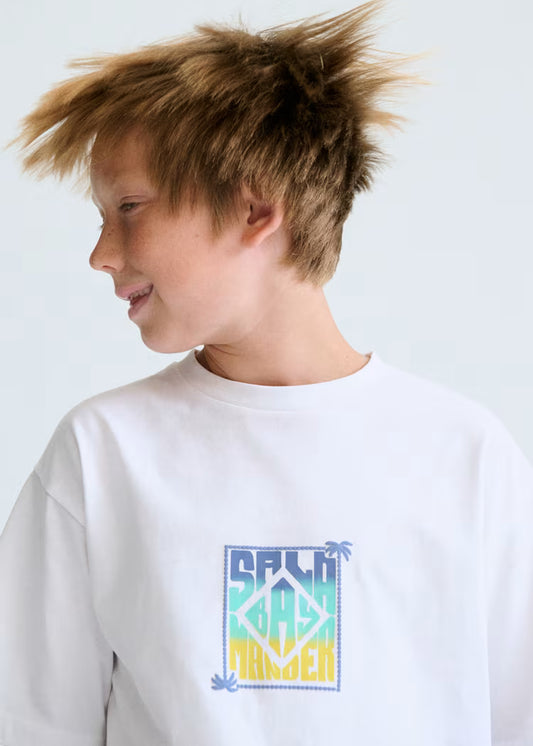 Camiseta estampada chico