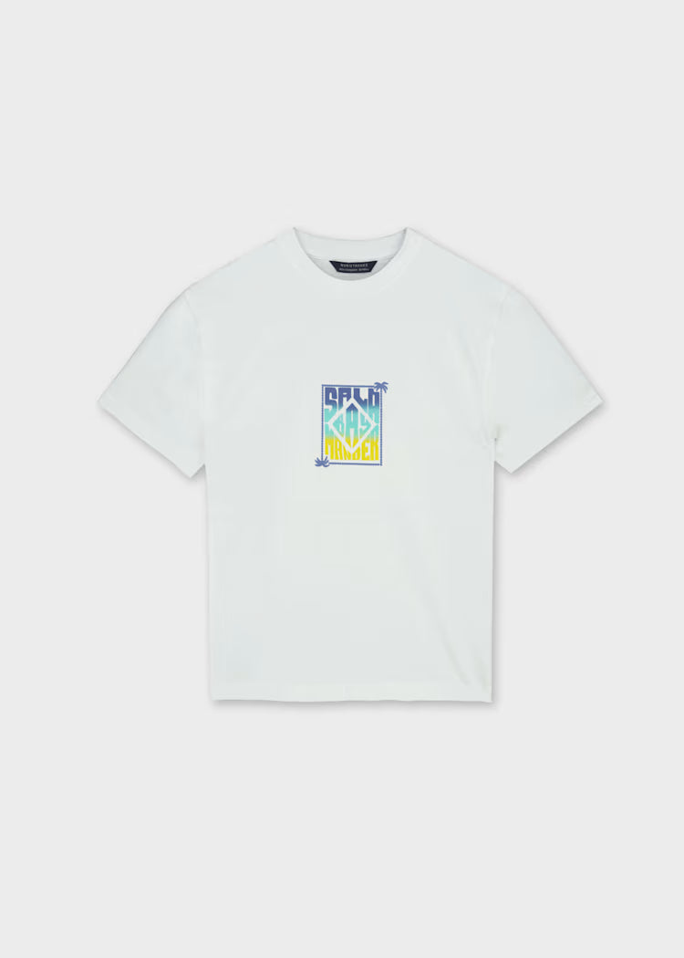 Camiseta estampada chico