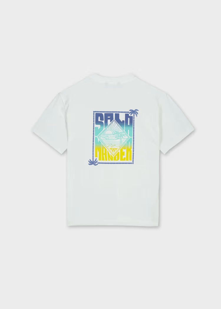 Camiseta estampada chico