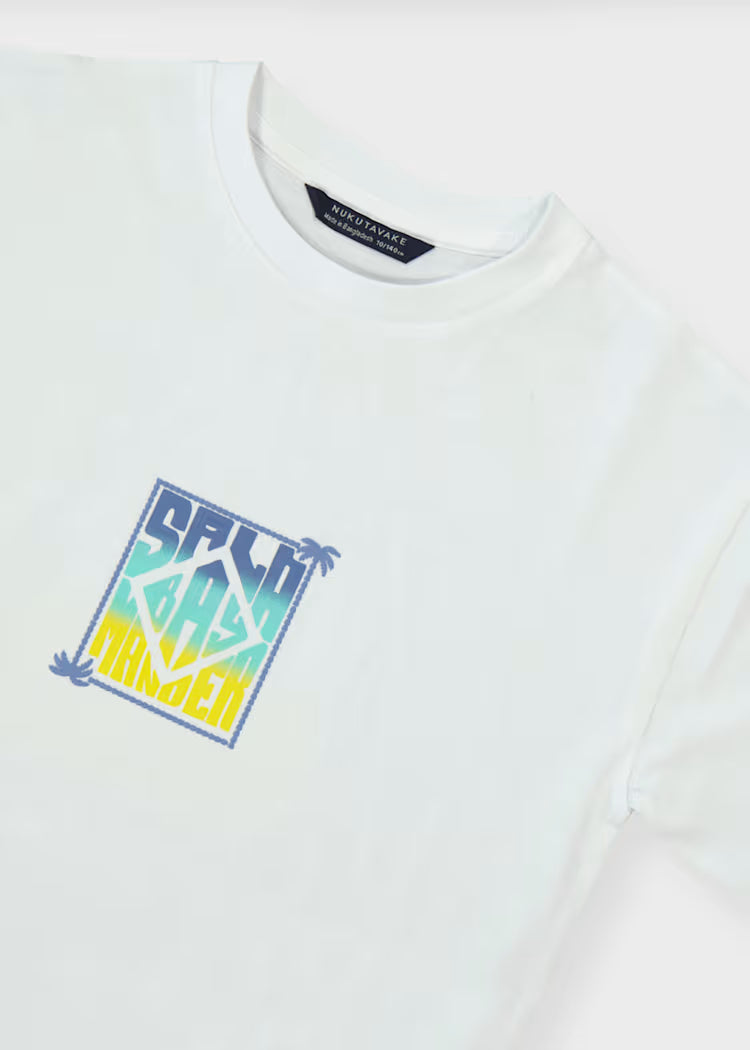 Camiseta estampada chico
