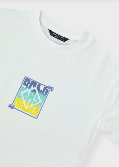 Camiseta estampada chico