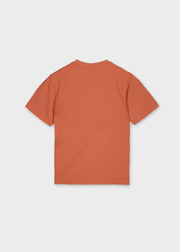 Camiseta serigrafía chico