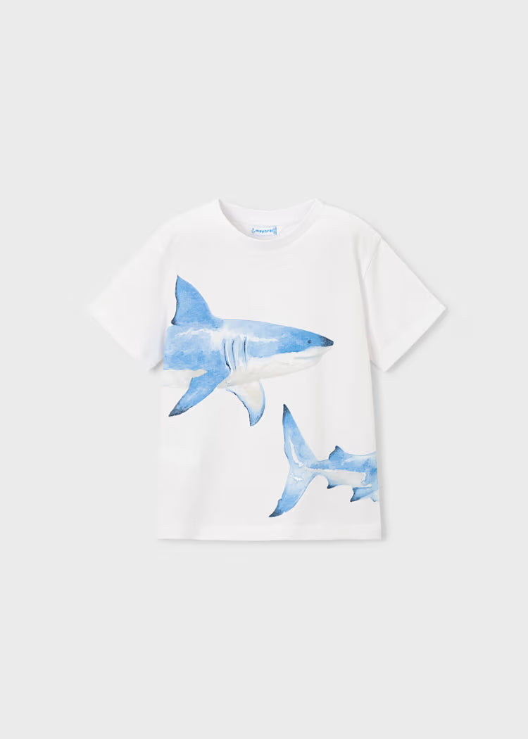 Camiseta tiburón niño