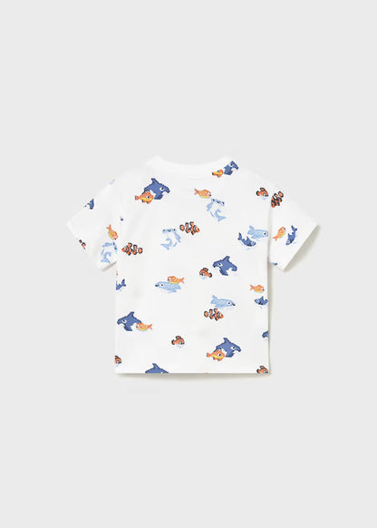 Set 2 camisetas bebé